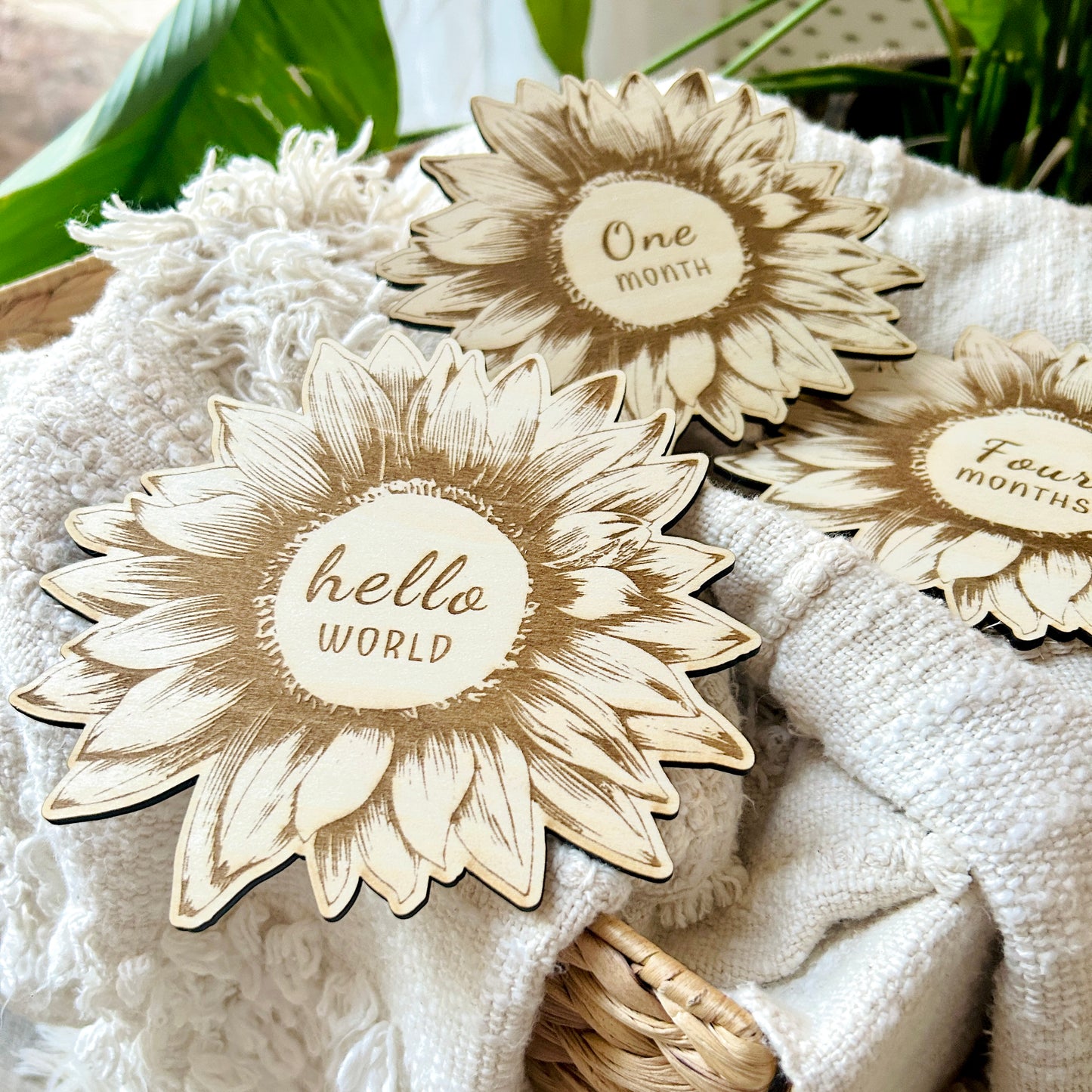 Sunflower - Milestone Set