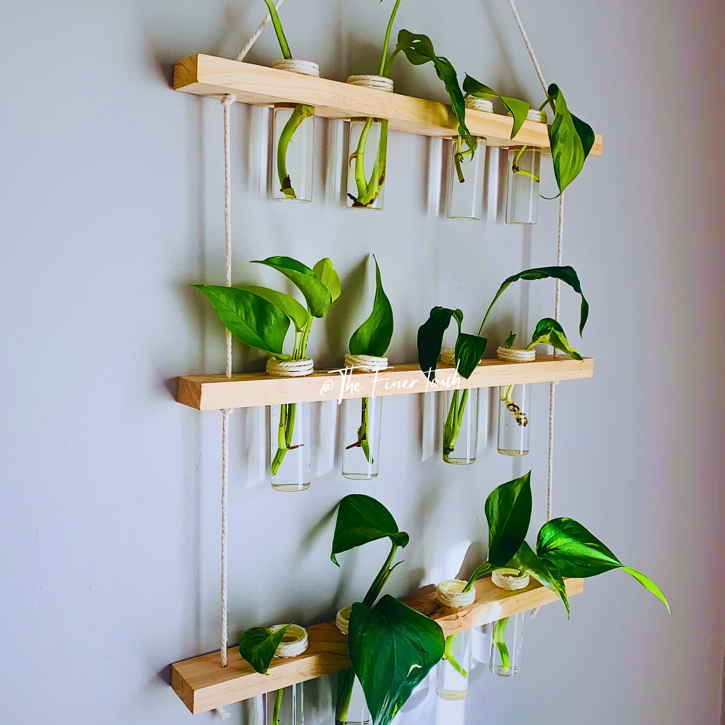 Macrame Propagation Station