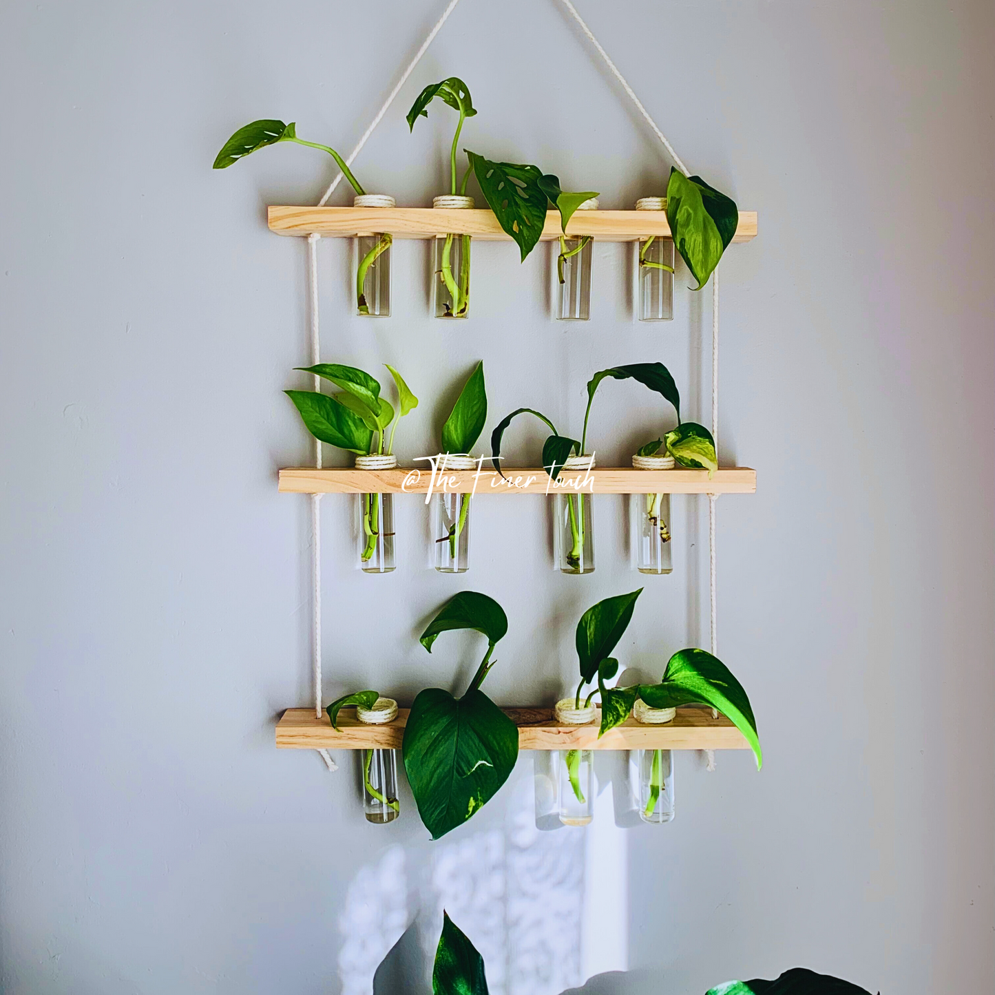 Macrame Propagation Station