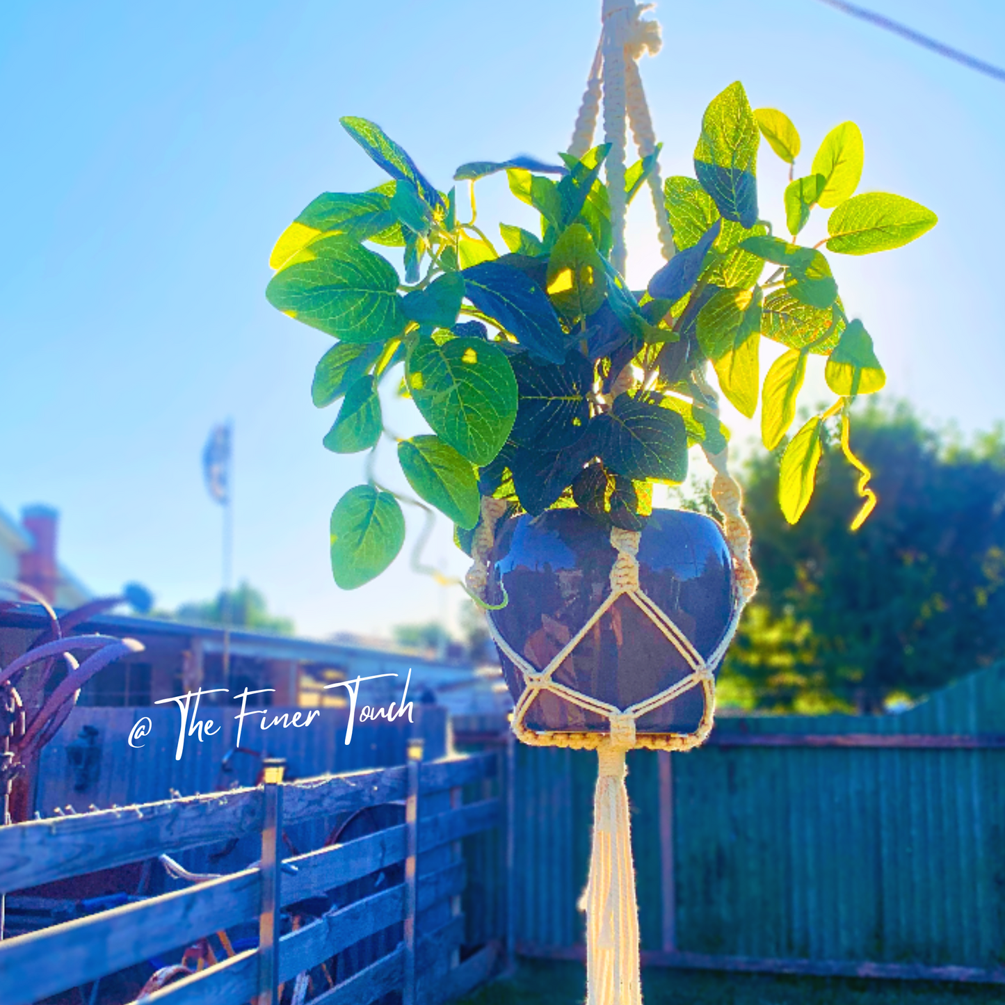 Macrame Plant Hanger